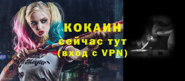 крисы Магадан