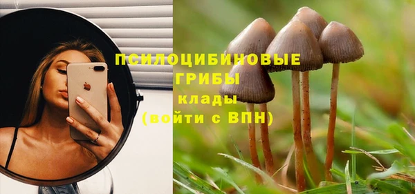крисы Магадан