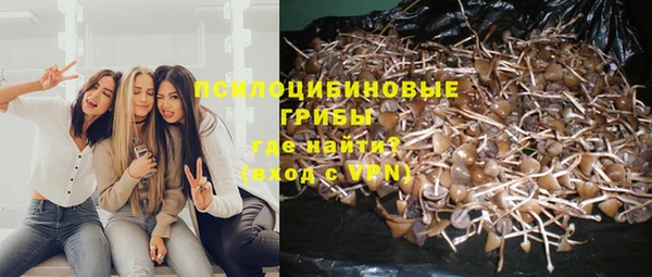дживик Лиски