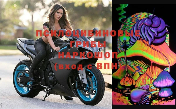 ешки Магас
