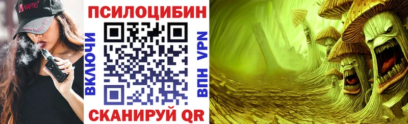 Купить  Кострома  Галлюциногенные грибы Cubensis 