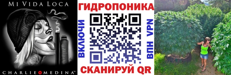 Купить закладки  Кострома  МАРИХУАНА ГИДРОПОН 
