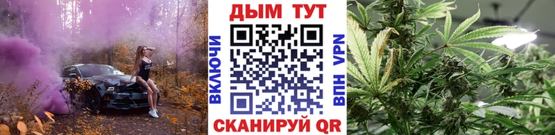 Бошки Шишки гибрид Кострома